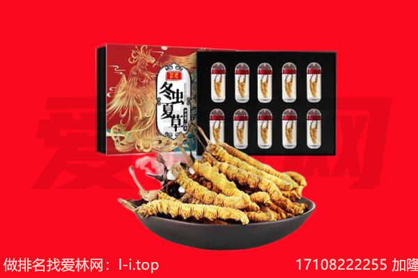 潍坊诸城市回收虫草.jpg